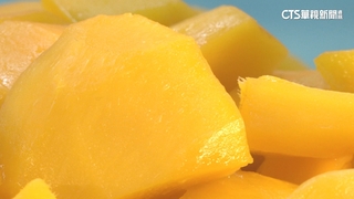 「外銷等級」台南芒果　連鎖超市門市買得到