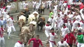 西班牙奔牛節登場　數百人「與牛狂奔」六輕傷！