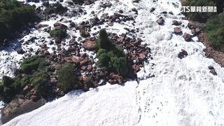 巴西河流飄有毒泡沬　散發臭雞蛋味道