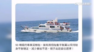 預訂大台賞鯨船遇「調度」　遊客搭小船晃到吐