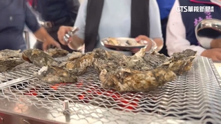 王功漁火節登場千人烤蚵　民眾直喊超過癮！