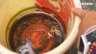 登革熱疫情延燒！　全國累計451例.雲林34例