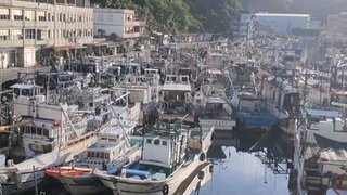 海軍船艦原預計今晨演練　颱風影響暫不出港