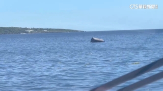 「天使輪」貨櫃海上漂流　船長目擊飄向小琉球