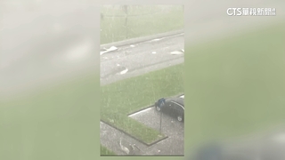 暴風雨來襲　義大利東北部蒙扎樹倒車毀