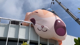 「高雄聯萌」放颱風假！蜜柑站長「洩氣」下班　網笑：賺到颱風假