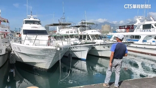 颱風前玩一波！　花蓮3米浪賞鯨變「海盜船」