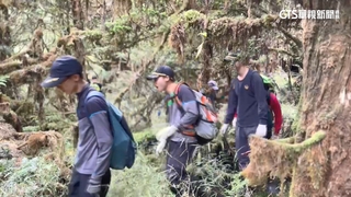 全力搜救！　男週一爬山失蹤　警尋獲登山杖