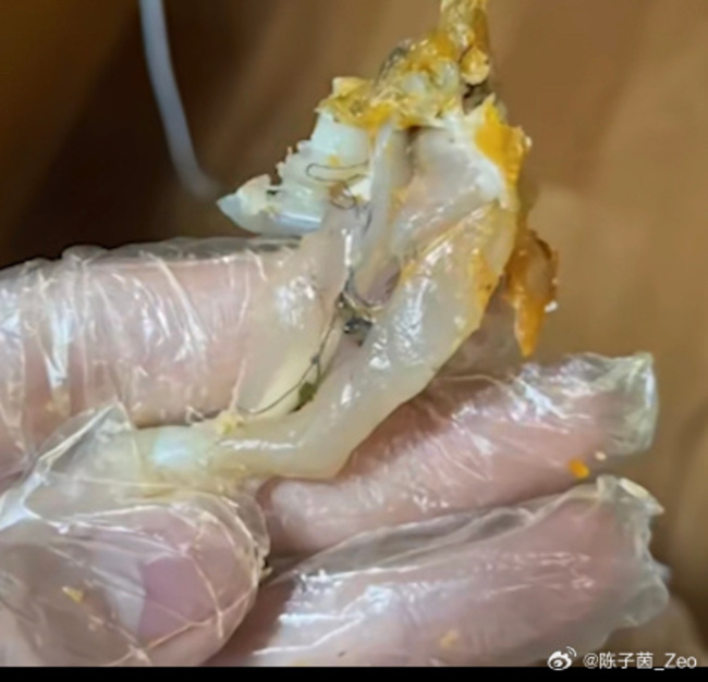 官方首度回應！中國肯德基吃出「生牛蛙」　 中國民眾：請國家重視起來 | 華視新聞