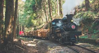 預警性停駛！杜蘇芮攜暴雨襲全台　嘉義阿里山林鐵宣布27、28日不載客