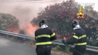 熱浪襲歐！　義國西西里飆48度　山林多處野火