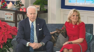 美國「第一狗」爆咬傷7名特勤　白宮：適應問題