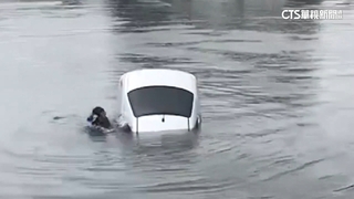 風雨大+路不熟　男開車衝入高雄中芸港幸獲救