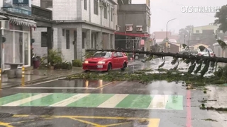 杜蘇芮強襲金門！　狂風吹倒路樹.店家招牌全倒