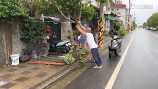 雲林最大陣風達11級！　2男丁「輪流扶樹」護行人