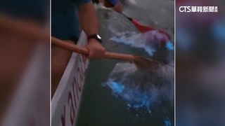 巴西海水泛「藍眼淚」　因暖化致夜光藻增生