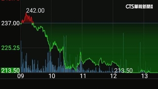AI概念股一面倒　大跌319點收16893點摜破月線