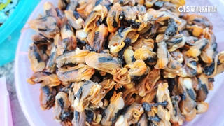 颱風來襲意外收穫！　澎湖民眾搶撿沖上岸紅蚵