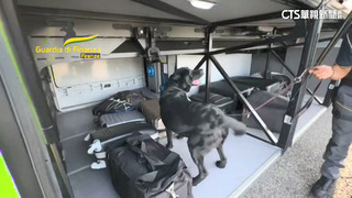 義大利警犬建奇功　巡邏嗅到107萬歐元鉅款