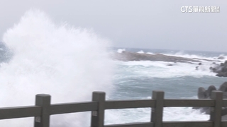 卡努逼近！　鼻頭角現6.3米高巨浪　竹子湖金針花受損