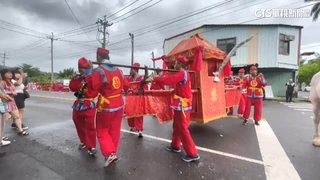 嘉義古禮「白馬.花轎」迎娶！　新人喊終身難忘