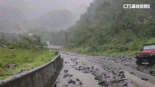 颱風尾樹倒擋路　阿里山「林鐵本線」續停駛