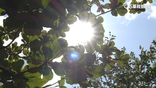 南北天氣兩樣情！西南風水氣增多防雨彈 宜花東高溫特報亮紅燈