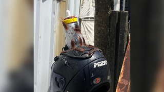 「+9受詛咒的安全帽」？　網PO超「蟑」安全帽  網笑：到底被偷過幾次