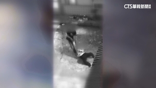 這款兒孫！　雲林男毆阿公入獄　父親節出獄又打媽