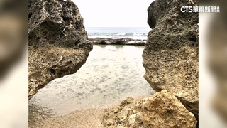 不敵暴雨強浪！　小琉球祕境「網美老木」遭沖毀