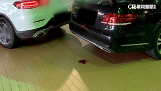 原廠技師移車出「撞」況　車主怒控修繕賠償沒下文