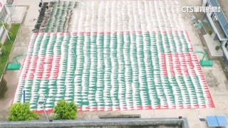 雲南邊境查獲走私鱷魚皮　1447張鋪滿2籃球場