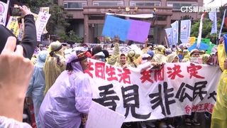 失聯移工逾11.5萬創新高　勞部擬加重罰非法雇用