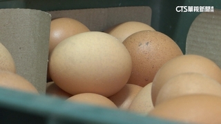 進口巴西蛋驗出抗生素.農藥違規　106噸須銷毀