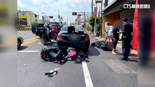 後車廂彈開撞倒盆栽　竟是10萬「大型真柏」