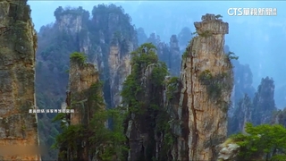 網爆跟團去張家界被丟包　抓包旅行社違出團？！