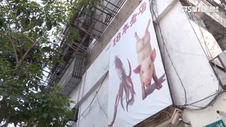 一隻「魷魚+倒立豬」　小吃招牌PO網引熱議