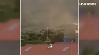 木屑竄天際宛如沙塵暴　轎車積厚碎屑惹民怨