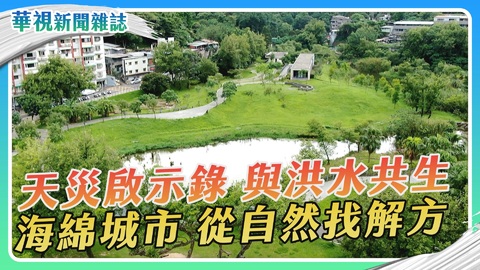 【卡努颱風】與洪水共生 海綿城市 從自然找解方｜華視新聞雜誌