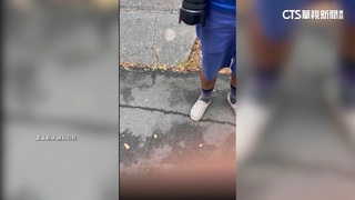 台南公園「攝影師」幫拍照逼付錢　民驚：給錢才脫身