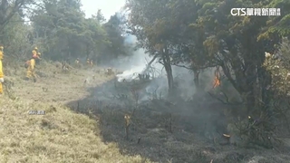 玉山煮食釀火燒山　NCC前專委「2罪各判6月」