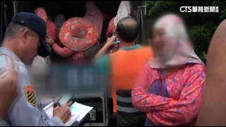 廂型車司機酒駕超載　8採茶女工連坐最高罰12萬