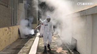 網傳滅登革熱病媒蚊藥物含劇毒？　專家闢謠