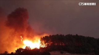 高溫+強風！　希臘野火燒了1週已逾20人死亡