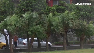 「海葵」下週生成「丹瑞」降溫帶氣旋　三颱難共舞