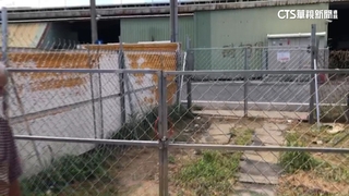 颱風來萬斤文旦無路運出　地主：未申請通行權