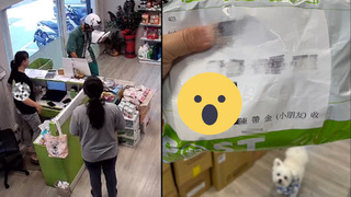 聽到有包裹！「陳帶金」秒衝上前想簽收　郵差見本尊笑了