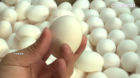 一人公司進口8814萬顆蛋引質疑　農業部：規模非重點