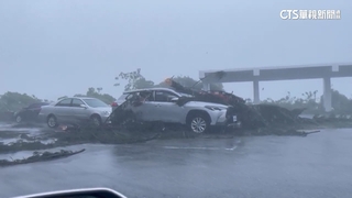 海葵台東登陸！樹倒「貫穿車」　吹毀鐵皮屋頂