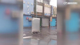 海葵登陸！巨兔.冰箱「出走」　機車.籃球框被吹跑